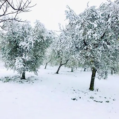 Κατάλυμα σε φάρμα Casale Cerere Lacedonia